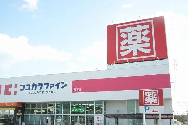 ココカラファインまで750m