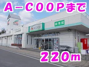 コープまで220m