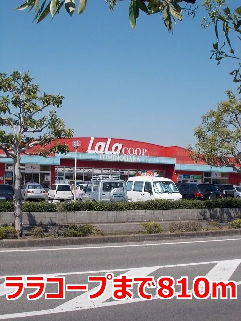 ララコープまで810m