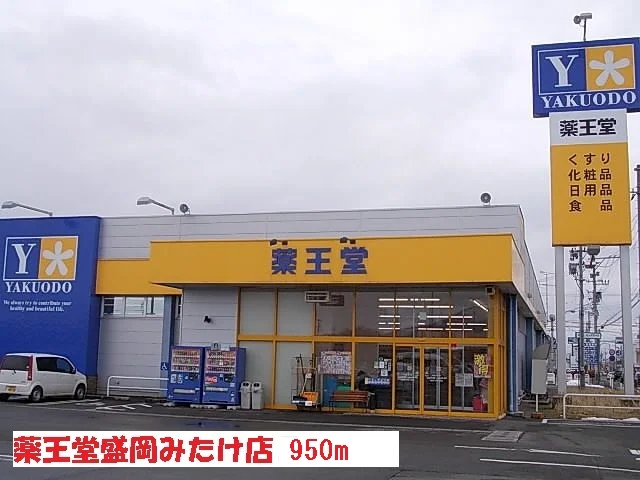 薬王堂盛岡みたけ店まで950m
