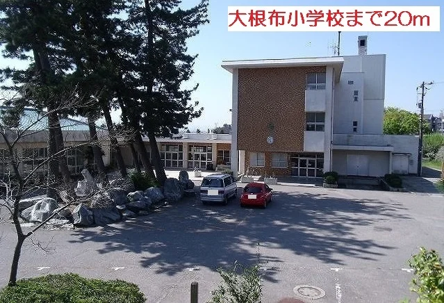 大根布小学校まで20m