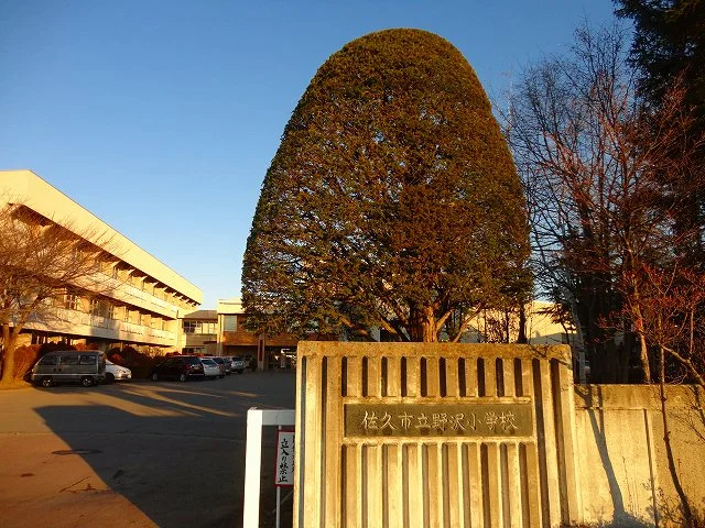 野沢小学校まで550m