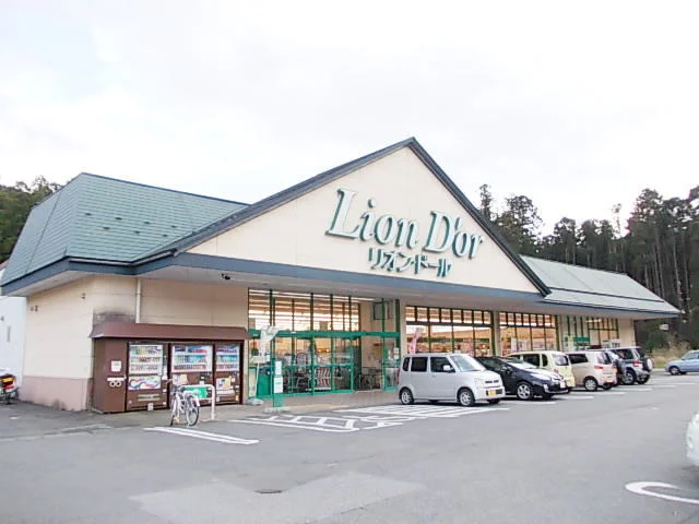 リオンドール鬼怒川店まで4100m
