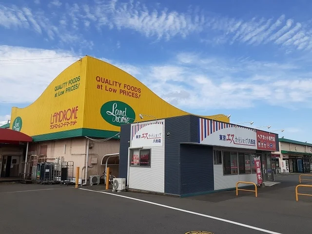 ランドロームフードマーケットまで1300m