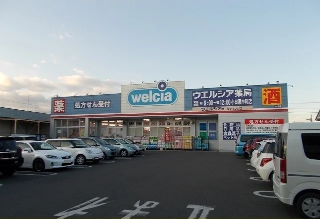 ウエルシア中町店まで600m