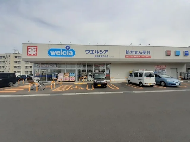 ウエルシア新潟東中野山店まで1000m
