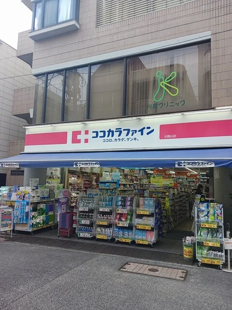 ココカラファインまで256m