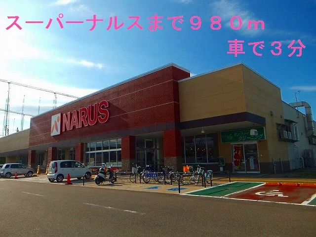スーパーナルスまで980m