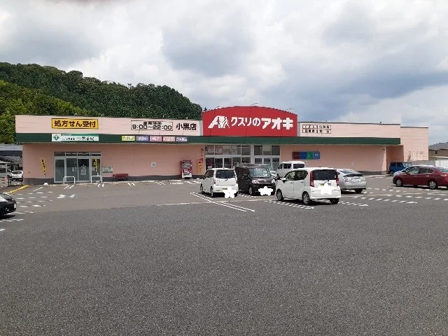 クスリのアオキまで650m