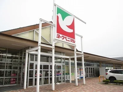 ヨークベニマル成島店まで900m