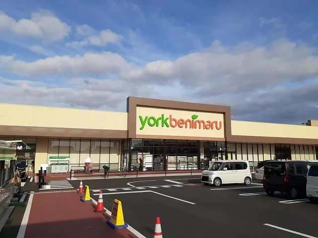 ヨークベニマル入江町店まで400m