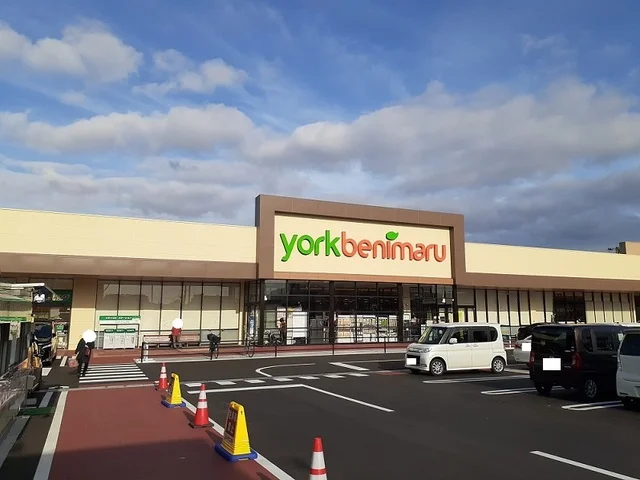 ヨークベニマル入江店まで1000m