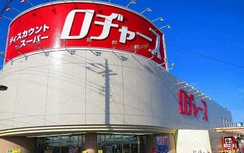 ロヂャース川越店まで1200m