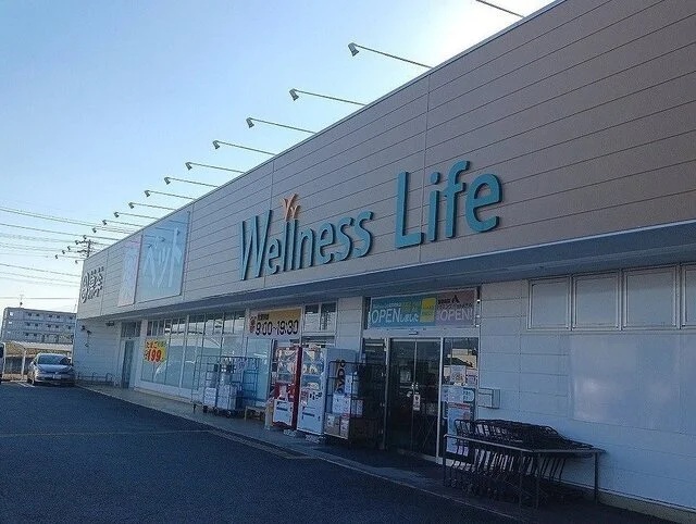 ウェルネスライフ佐久北中込店まで250m