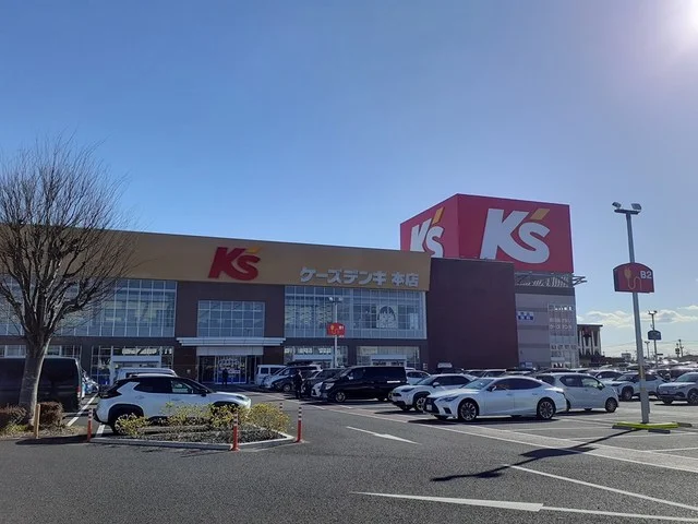 ケーズデンキ水戸本店まで1100m
