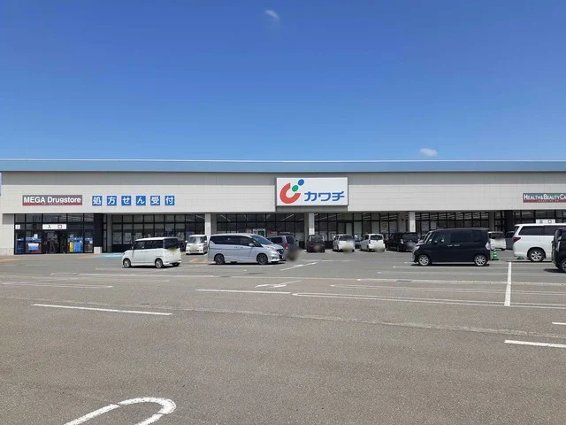 カワチ薬品　鶴岡東店まで1500m