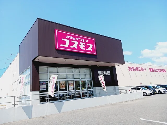 コスモス東大洲店様まで650m