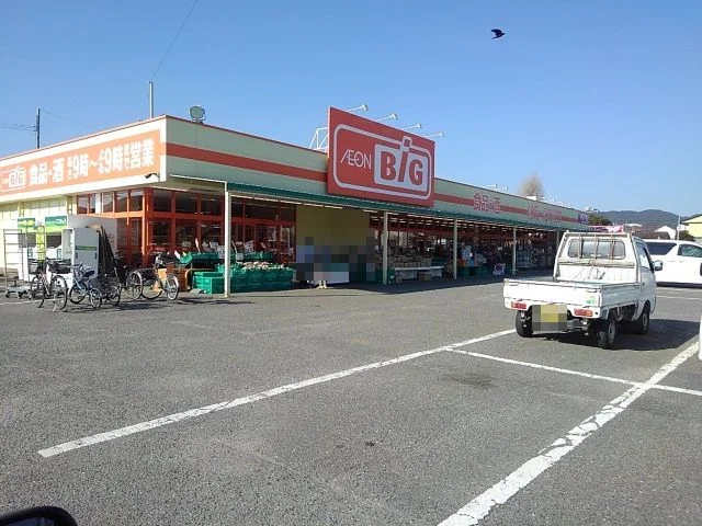 ザ・ビッグ鳥栖店まで1100m
