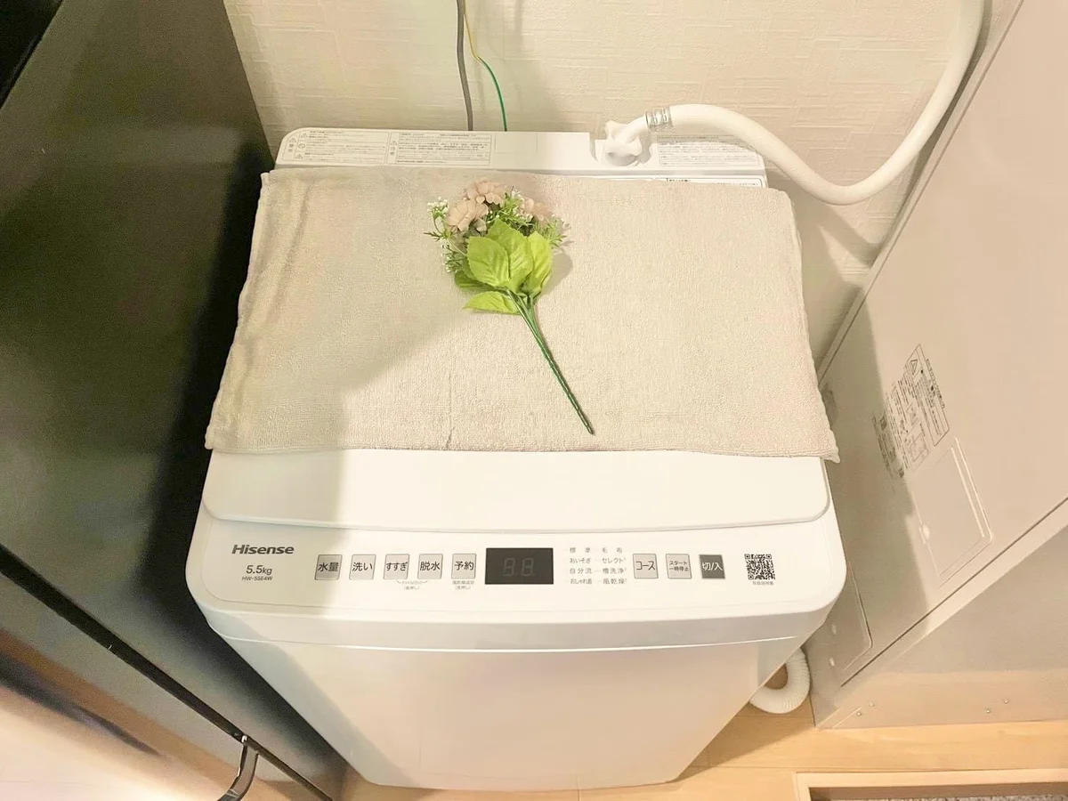※撮影用の観察植物・食器調理器具・雑貨類等はございません。※写真は現況優先