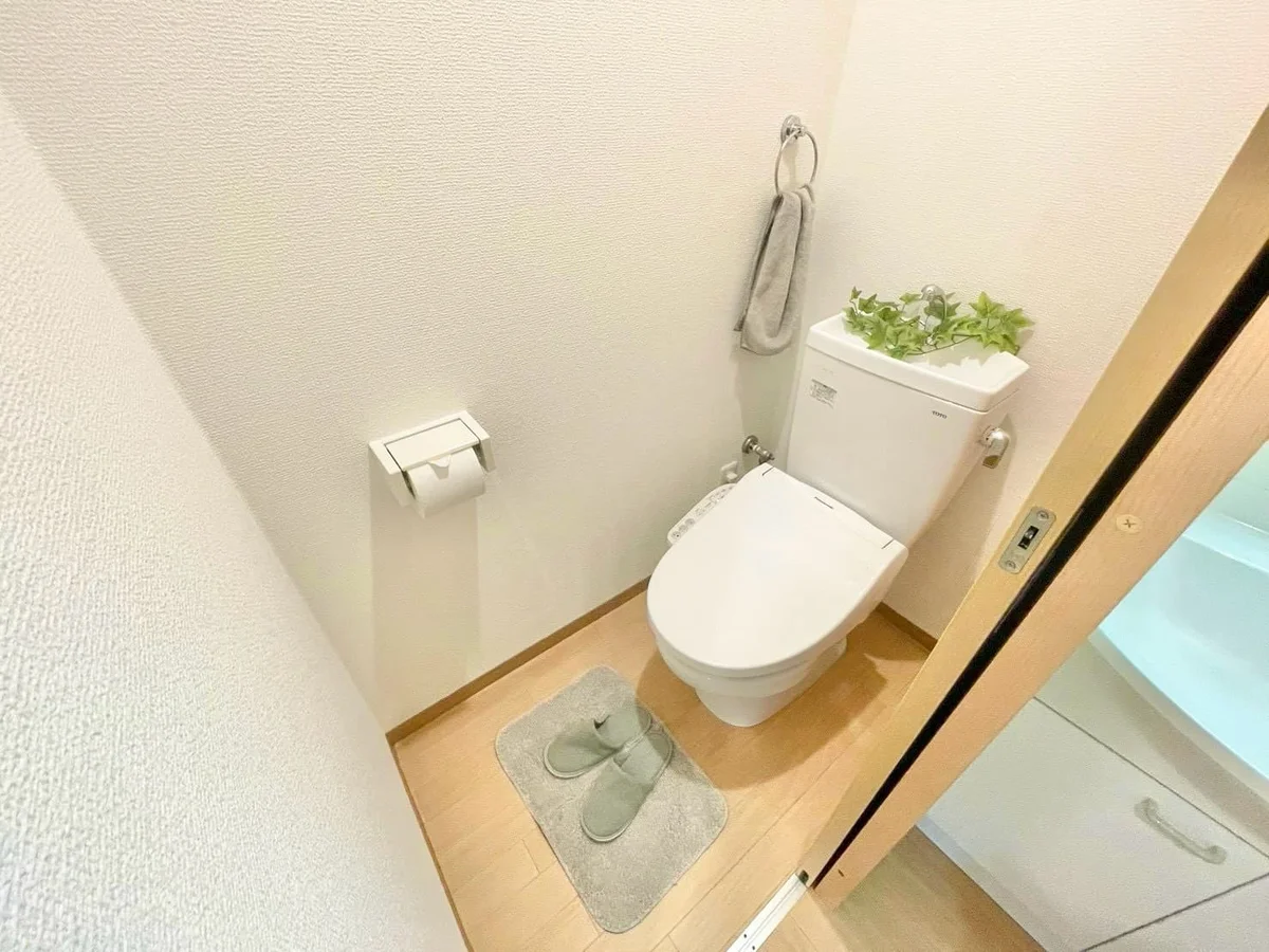 ※撮影用の観察植物・食器調理器具・雑貨類等はございません。※写真は現況優先