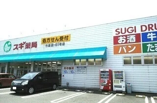 スギ薬局竹島店まで300m