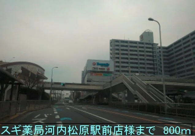 スギ薬局河内松原駅前店様まで800m