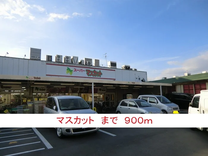 マスカットまで900m