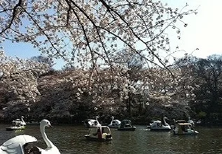 井の頭公園まで2700m