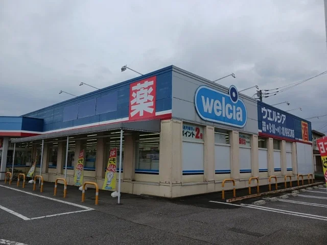 ウェルシア　熊谷江南店まで4100m