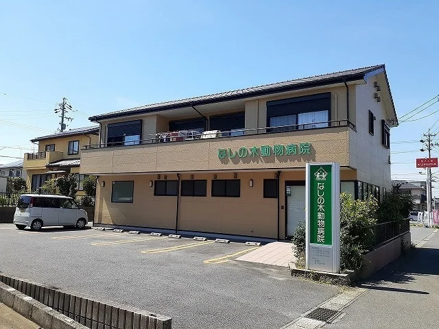 なしの木動物病院まで450m