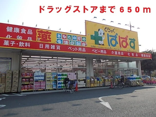 どらっぐ　ぱぱすまで650m