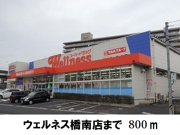 ウェルネス橋南店まで800m
