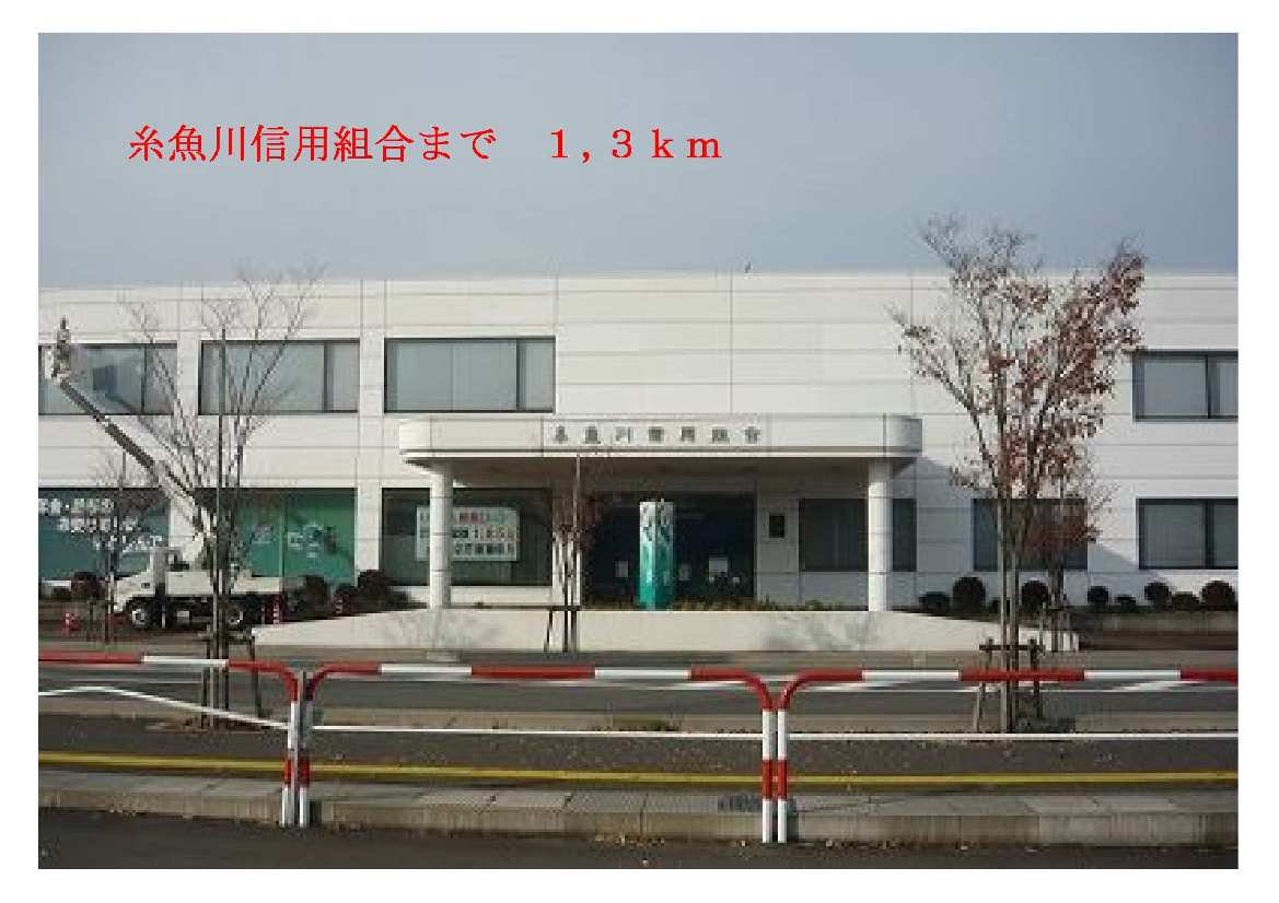 糸魚川信用組合まで1300m