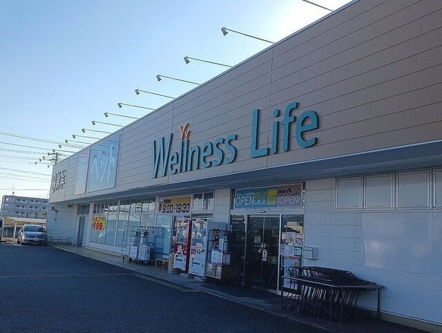 ウェルネスライフ佐久北中込店まで1400m