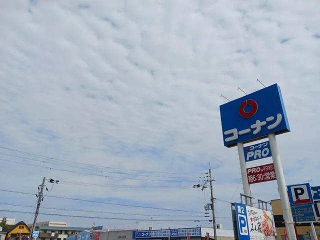 コーナン泉大津店まで600m