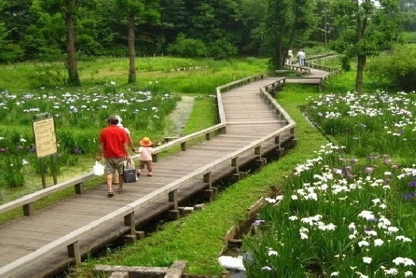 神代植物公園まで89m