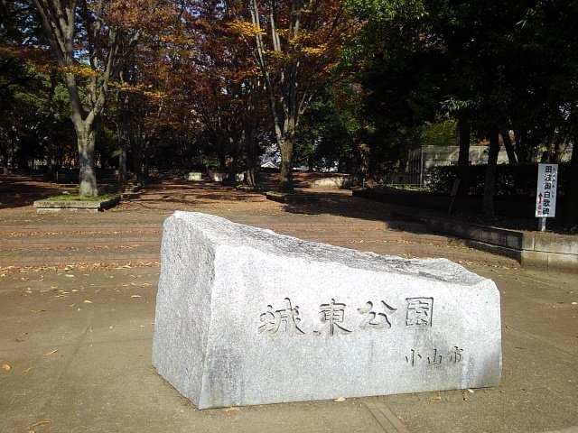 城東公園まで650m