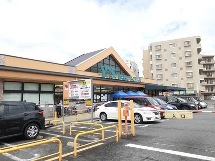 ワイズマート北国分店まで1100m