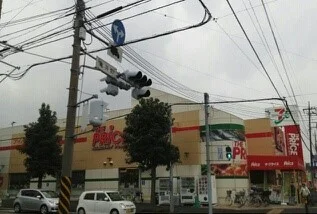 ザ・プライスまで570m
