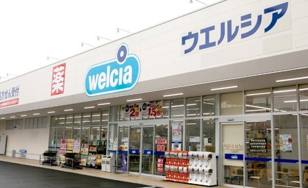 ウエルシア加木屋店まで500m