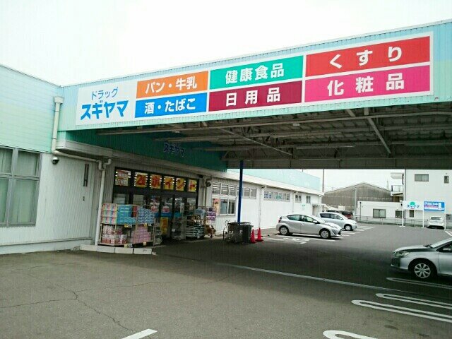 ドラッグスギヤマ　多加木店まで450m