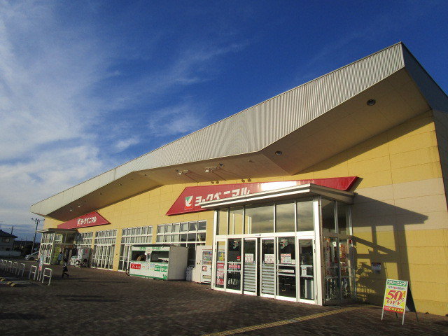 ヨークベニマル田彦西店まで1100m