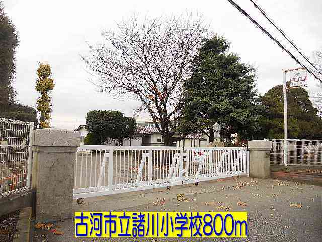 古河市立諸川小学校まで800m