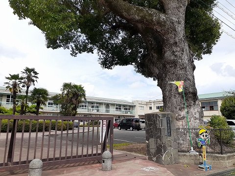 知恵島小学校まで600m