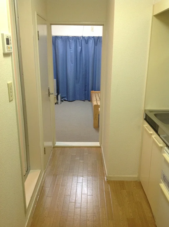 実際のタイプと異なる場合が御座います。