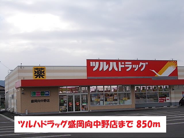 ツルハドラッグ盛岡向中野店まで850m