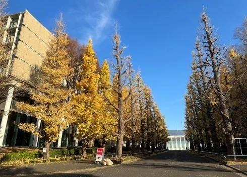 慶應義塾大学 日吉キャンパスまで1400m