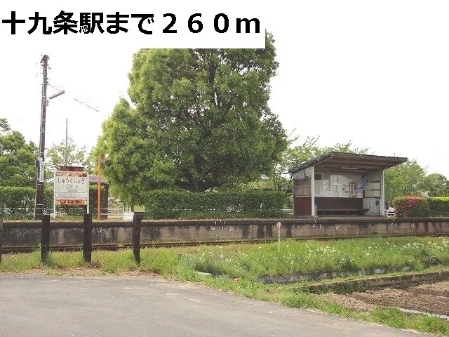 樽見鉄道　十九条駅まで260m