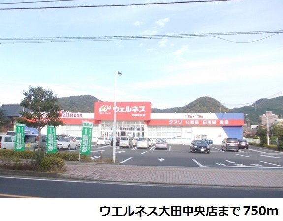 ウエルネス大田中央店まで750m