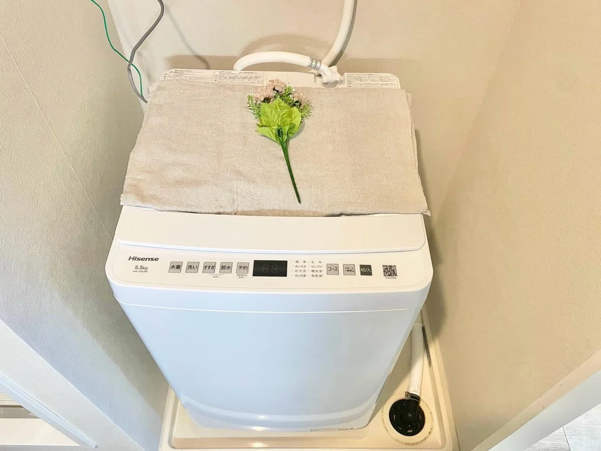 ※撮影用の観察植物・食器調理器具・雑貨類等はございません。※写真は現況優先